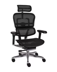 Fotel biurowy, krzesło biurowe Fotel biurowy Ergohuman 2 Elite Pro BS Black - Fotele i krzesła biurowe - miniaturka - grafika 1