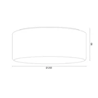 Lampy sufitowe - Lampa sufitowa Titania Argon, możliwość ściemniania, aluminiowy / szary / cynkowy, przedpokój, szkło - miniaturka - grafika 1