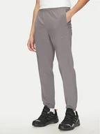 Odzież trekkingowa męska - Columbia Spodnie outdoor Columbia Hike™ 2097543 Szary Regular Fit - miniaturka - grafika 1