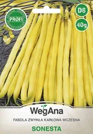Nasiona i cebule - Fasola zwykła karłowa wczesna Sonesta 40g nasiona - WegAna - miniaturka - grafika 1
