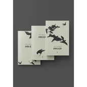 Klasyka - Pakiet Obłęd. Tom 1-3 - Jerzy Krzysztoń - książka - miniaturka - grafika 1