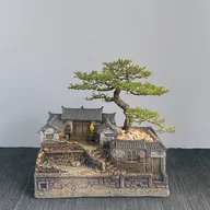 Inne - TEMU Ceramiczna doniczka w stylu rustykalnym do bonsai z geometrycznym wzorem - Nieregularny kształt miniaturowego modelu domu Dekoracyjny dodatek do - miniaturka - grafika 1