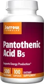 Witaminy i minerały - JARROW FORMULAS JARROW FORMULAS Pantothenic Acid B5 100caps - miniaturka - grafika 1