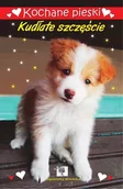 Literatura przygodowa - Kochane pieski. Kudłate szczęście - Agnieszka Wileńska - miniaturka - grafika 1