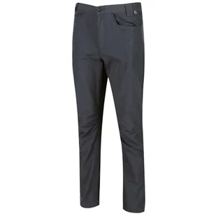 Spodnie męskie Regatta Delgado Trousers Rozmiar: L-XL / Kolor: szary - Spodnie sportowe męskie - miniaturka - grafika 1