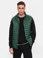 Kamizelki męskie - 4F Kamizelka 4FAW23TVESM062 Zielony Regular Fit - miniaturka - grafika 1