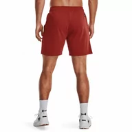 Spodnie sportowe męskie - Męskie spodenki treningowe Under Armour Project Rock Terry Gym Short - brązowe - UNDER ARMOUR - miniaturka - grafika 1