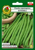 Nasiona i cebule - Fasola szparagowa zielona Esterka 50 g PNOS - miniaturka - grafika 1