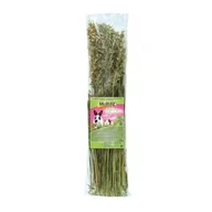 Karma dla gryzoni - MultiFit Przekąska dla gryzoni Natka owsiana 120 g - miniaturka - grafika 1