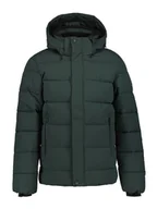 Kurtki męskie - Icepeak Kurtka pikowana "Bixby" w kolorze ciemnozielonym - miniaturka - grafika 1