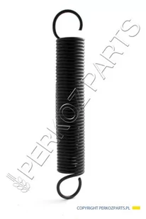 NEW HOLLAND CASE SPRĘŻYNA CASE CNH 700714986 700714986 - Części i akcesoria do maszyn rolniczych - miniaturka - grafika 1