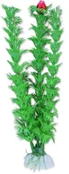 Dekoracje do akwarium - Roślina blister 20cm 2b34 Happet - miniaturka - grafika 1