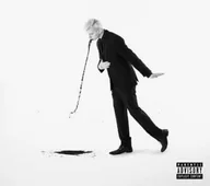 Reggae - CD STEIN27: Teorie pádu - miniaturka - grafika 1