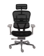 Fotele i krzesła biurowe - Ergonomiczny fotel biurowy Ergohuman 2 Elite Pro GS Black - miniaturka - grafika 1