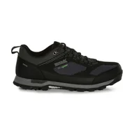 Buty trekkingowe męskie - Buty trekkingowe męskie Regatta Blackthorn Evo Low wodoodporne - miniaturka - grafika 1