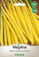 Nasiona i cebule - Fasola Polka Karłowa 40g nasiona - WegAna - miniaturka - grafika 1