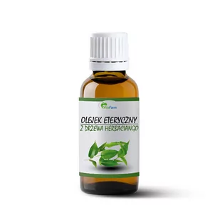 Olejek Z Drzewa Herbacianego 10ml Tea Tree Oil - Olejki do ciała i włosów - miniaturka - grafika 1
