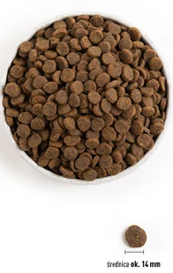 Acana Singles Yorkshire Pork 6 kg - Sucha karma dla psów - miniaturka - grafika 3