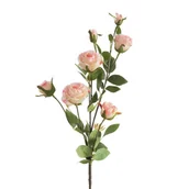 Sztuczne kwiaty - Eurofirany, Kwiat dekoracyjny, KW/NATU/429/RÓŻO RÓŻO - miniaturka - grafika 1
