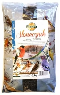 Słonecznik czarny dla ptaków ziarno 0,5 kg - Karma dla ptaków - miniaturka - grafika 1