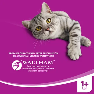 WHISKAS Adult 2x14 kg - sucha karma dla dorosłego kota, z pyszną wołowiną - Sucha karma dla kotów - miniaturka - grafika 9