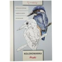 Kolorowanka Ptaki - Poradniki hobbystyczne - miniaturka - grafika 1