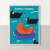 Obrazy i zdjęcia na płótnie - Plakat Kurka wodna - miniaturka - grafika 1