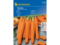 Nasiona i cebule - Marchew FALYWAY nasiona F1 odporna odmiana Kiepenkerl - miniaturka - grafika 1