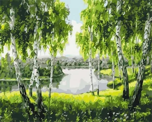 Artnapi 40x50cm Zestaw Do Malowania Po Numerach - Brzozy z dzieciństwa - Na Drewnianej Ramie - Malowanie po numerach - miniaturka - grafika 1