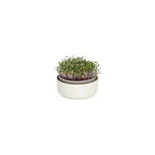 Donice - Miska do kiełkowania, ø 16 cm Microgreens − Plastia - miniaturka - grafika 1