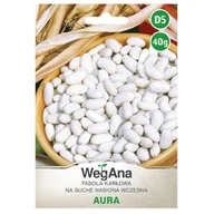 Nasiona i cebule - Fasola na suche ziarno Aura nasiona 40g nasiona - WegAna - miniaturka - grafika 1