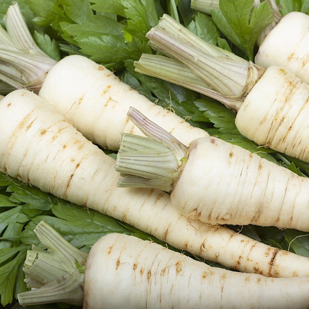 Pietruszka świeża z polskich upraw 5 kg