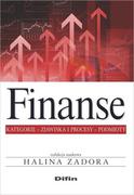 Finanse, księgowość, bankowość - Finanse - Difin - miniaturka - grafika 1