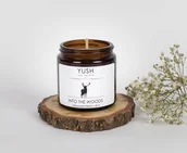 Świece - Świeca Sojowa Into The Woods (120Ml) - miniaturka - grafika 1