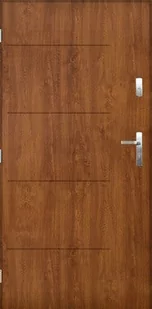 Drzwi zewnętrzne Płock, 90 lewe, złoty dąb - Drzwi zewnętrzne - miniaturka - grafika 1