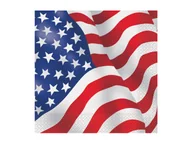 Dekoracje i nakrycia stołu na imprezę - Serwetki papierowe Flaga USA - 33 cm - 16 szt. - miniaturka - grafika 1
