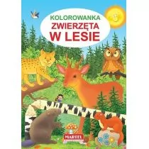 Kolorowanka Zwierzęta w lesie - Jarosław Żukowski - Kolorowanki, wyklejanki - miniaturka - grafika 1