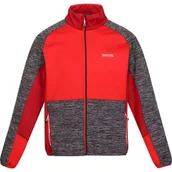 Bluzy męskie - Polar męski Coladane IV Regatta - miniaturka - grafika 1