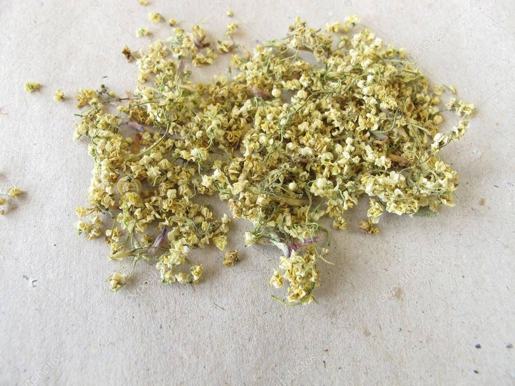 Bez czarny Kwiat bzu czarnego cięty susz Sambucus nigra Mystic.Garden 500 g