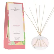 Aromaterapia - Dyfuzor zapachowy kolekcja Spring/Summer - Amy's Garden - Ogród Amy - 100ml - miniaturka - grafika 1