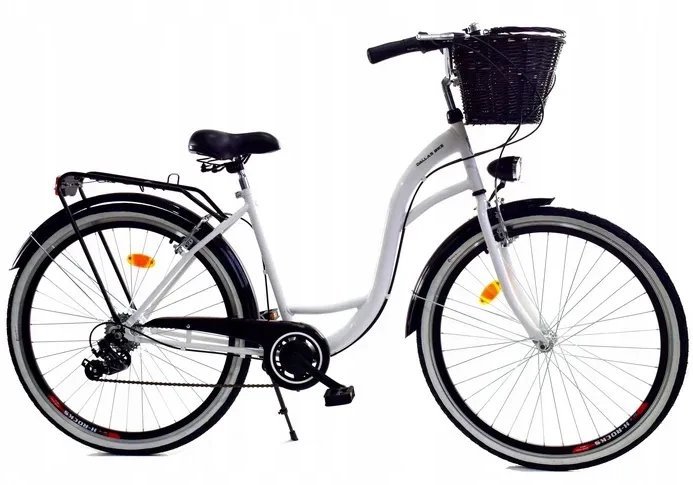 Dallas Bike Rower Dallas City 28