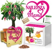 Nasiona i cebule - Zestaw do Uprawy PITAJA SMOCZY OWOC Dzień Matki - miniaturka - grafika 1