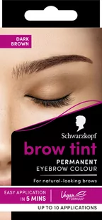 Farba dla brwi Schwarzkopf Brow Tint 4-1 Dark Brown 17 ml (5012583207986) - Akcesoria i kosmetyki do stylizacji brwi - miniaturka - grafika 1