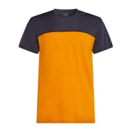 Koszulki męskie - Koszulka męska Icebreaker Merino Cool-Lite Sphere III SS T Colour Ray/Graphite/Cb L - miniaturka - grafika 1