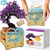 Nasiona i cebule - Prezent na DZIEŃ DZIADKA Drzewko Szczęścia bonsai super dziadek babcia - miniaturka - grafika 1