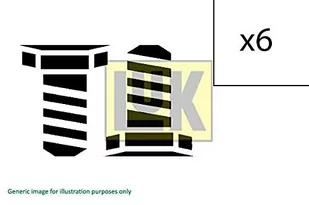 LuK Zestaw śrub, koło zamachowe LuK 411 0239 10 - Uszczelki silnikowe - miniaturka - grafika 1