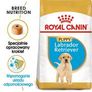 Sucha karma dla psów - Royal Canin Labrador Retriever Junior 3 kg - miniaturka - grafika 1