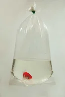 Pozostałe akcesoria do akwarium - Worki do ryb 35x80 25 sztuk Happet - miniaturka - grafika 1