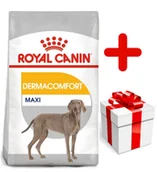 Sucha karma dla psów - Royal Canin CCN Maxi Dermacomfort 10 kg - miniaturka - grafika 1
