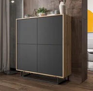 Szafki RTV - Komoda RTV Loft szafka Loft wotan grafit MAT 113cm - miniaturka - grafika 1